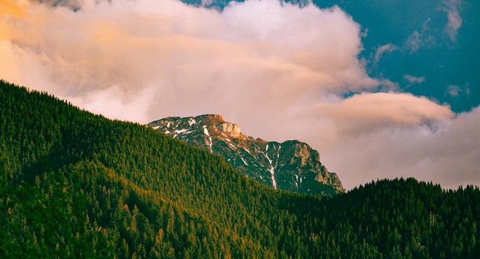 The Bușteni Mountains
