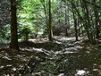 Cycle tourism in Romania - Ciucaș Massif, Carpathian Mountains