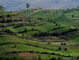 Maramures - a world between traditional and SPA