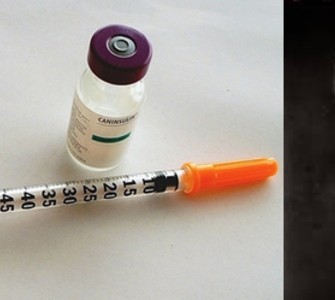 Nicolae Păulescu – the Romanian scientist who discovered insulin