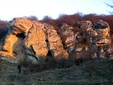 La grotta “La Adam”, Dobrogea