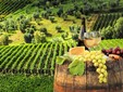 Il vigneto Târnave, la strada del vino dalla Transilvania