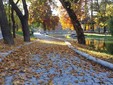The „NicolaeRomanescu” Park of Craiova