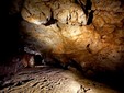 Coliboaia Cave - National Park Apuseni, Bihor county