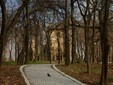 The „NicolaeRomanescu” Park of Craiova