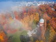 Palatul Știrbei din Buftea