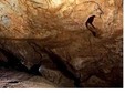 Peștera Coliboaia în Munții Bihorului, Parcului Natural Apuseni
