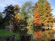 The „NicolaeRomanescu” Park of Craiova