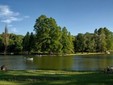 The „NicolaeRomanescu” Park of Craiova