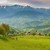 România România