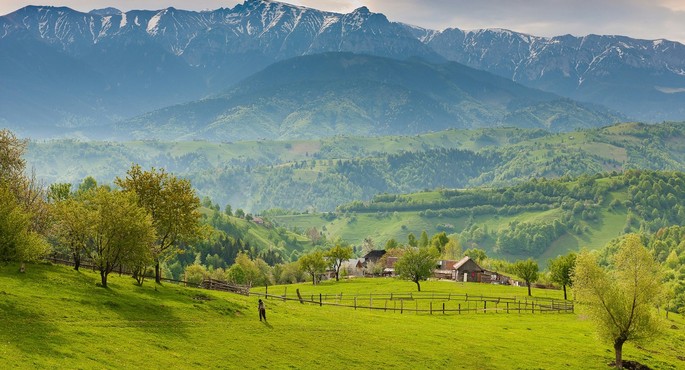 România România