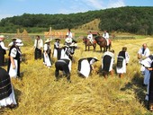 Romanian Reaping Customs