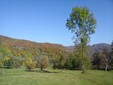 The  Firijba village in Vâlcea County