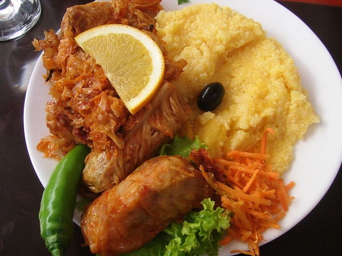 Moldavia gastronomy