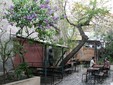 The most beautiful and shady terraces in Bucharest