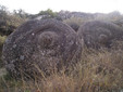 ”Trovanţii” or &quot;the living stones&quot; of Bozioru, in Buzau District