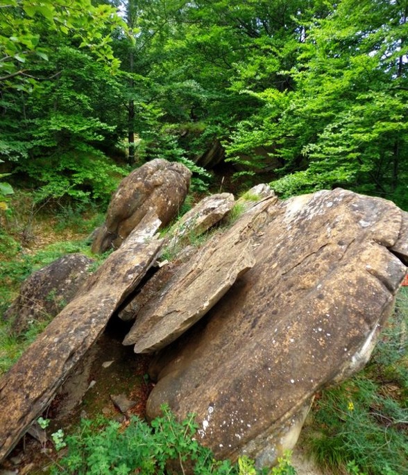 ”Trovanţii” or &quot;the living stones&quot; of Bozioru, in Buzau District