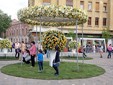 Timfloralis Timisoara 2017