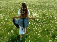Il Festival dei Narcisi - Dumbrava Vadului