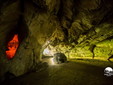 The Cave of the Disease