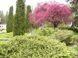 The Botanical Garden