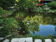 The Botanical Garden