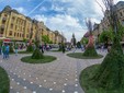 Timfloralis Timisoara 2017