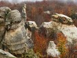 The Dragons’ Garden - Sălaj County