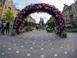 Timfloralis Timisoara 2017