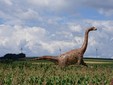 Haţeg Country - Magyarosaurus Dacus