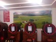 Kulpen Winery, Transilvania