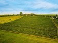 Vinarte Winery
