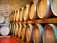 Villa Vinea Wine Cellar - Transylvania