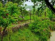 Valea celor Doisprezece, Neamt District