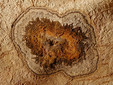 Vantului Cave