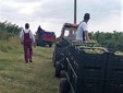 La cantina Viile Metamorfosis - Dealu Mare