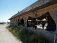 Vama Veche - sul litorale romeno del Mar Nero