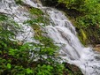 „Parcul Naţional Cheile Nerei – Beuşniţa” în județul Caraș-Severin