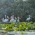 The Danube Delta – One of Europe's Most Spectacular Ecosystems The Danube Delta – One of Europe's Most Spectacular Ecosystems