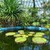 The Most Beautiful Botanical Gardens in Romania Worth Visiting The Most Beautiful Botanical Gardens in Romania Worth Visiting