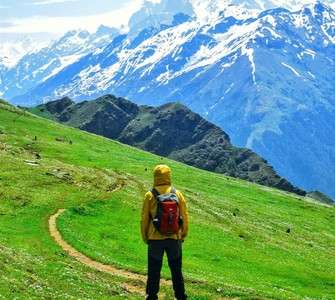 Walking in Nature: A Moment of Well-Being for Body and Mind