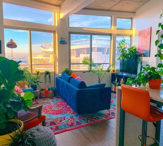 Houseplants that help purify indoor air Houseplants that help purify indoor air