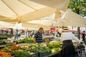 I migliori prodotti locali della Romania – sapori autentici da scoprire I migliori prodotti locali della Romania – sapori autentici da scoprire