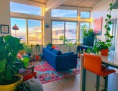 Houseplants that help purify indoor air