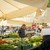 The Best Local Products in Romania – Authentic Flavors Worth Discovering The Best Local Products in Romania – Authentic Flavors Worth Discovering