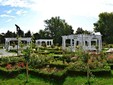 The House with flowers, Timisoara