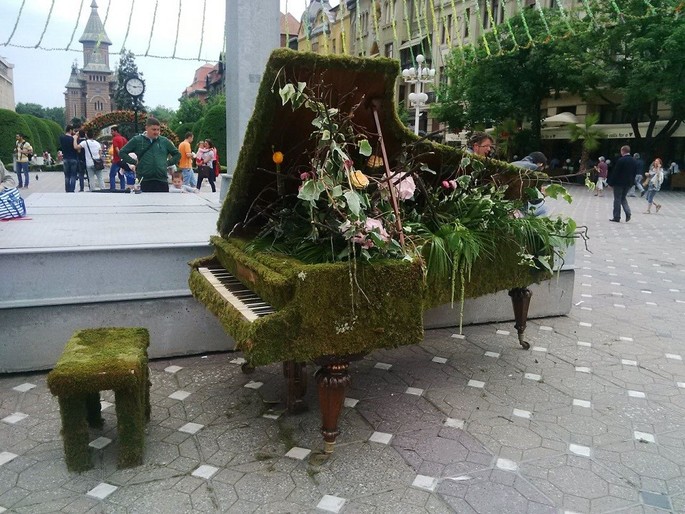 A piano of 1800, the star of the festival Timfloralis - Timisoara A piano of 1800, the star of the festival Timfloralis - Timisoara