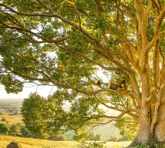 Digital Detox Retreats