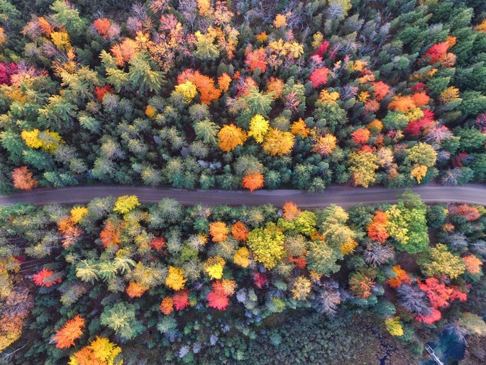 Autumn in Romania: spectacular landscapes, traditions and unforgettable experiences