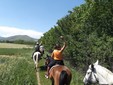 Equestrian tourism in Romania